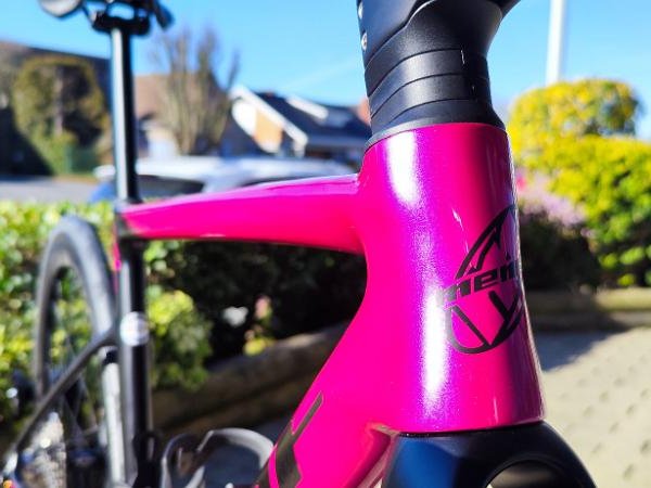 Gotha SL - Rose Noir Dame