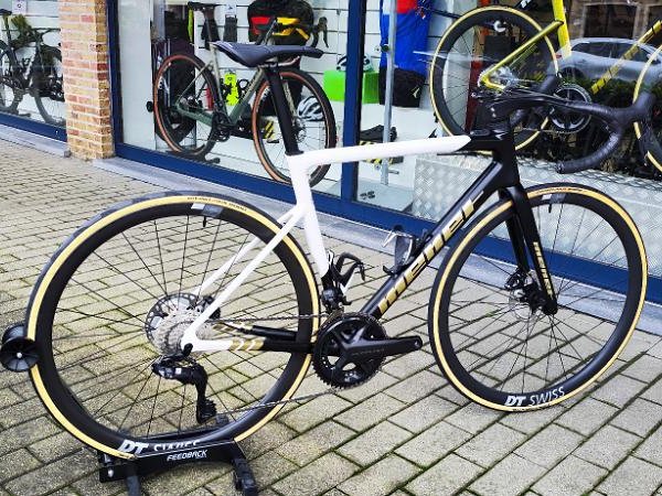 Gotha SL - blanc cameleon et noir
